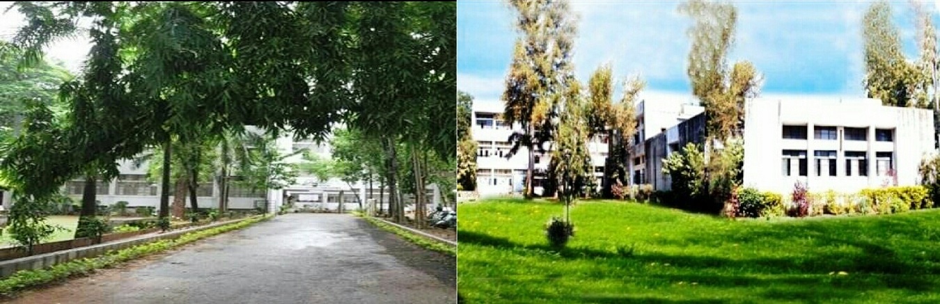 SMP HOME SCIENCE